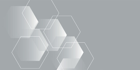 Abstract white and grey hexagons background. vector geometric modern design eps10
