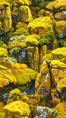 Close-up view of rocks covered in vibrant yellow-green moss