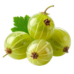 Four translucent, pale-green gooseberries clustered with a single vibrant green leaf