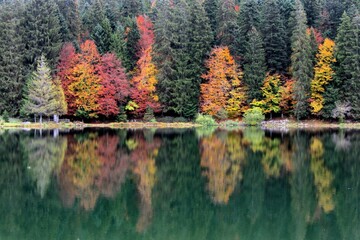 Obraz premium Couleurs d'automne