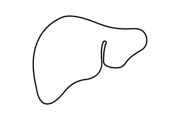 Obraz premium Continuous one line drawing of liver anatomy minimalist design isolate organ outline vector illustration 