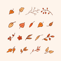 Leaves, twigs, herbs in autumn shades of red and yellow. Organic, eco symbols. Sketch designs