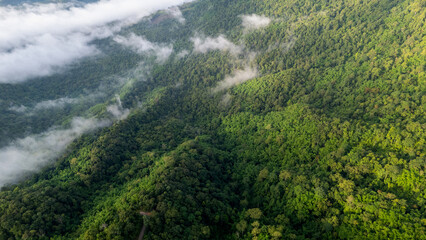 Aerial of Village in rain cloud cover tropical green mountain. Rainy season. Misty cover green forest. beautiful green village