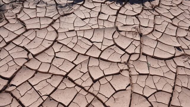 Parched Lifeless Soil During Drought, Top Down View