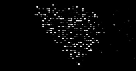 Digital Particles Drift Assembling Ethereal Bosnia and Herzegovina Map Design