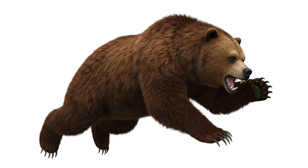 Fototapeta premium Isolated Brown Bear Running Forward Aggressively Showing Its Teeth and Claws To Attack