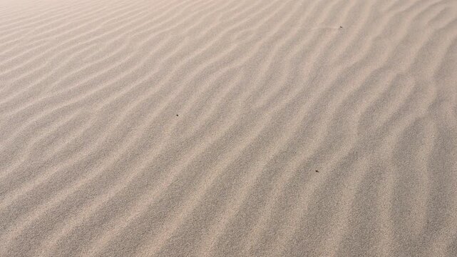 A close-up on patterns sculpted by wind erosion on a Mongolian sand dune. The shot reveals the intricate, flowing texture of the desert floor.