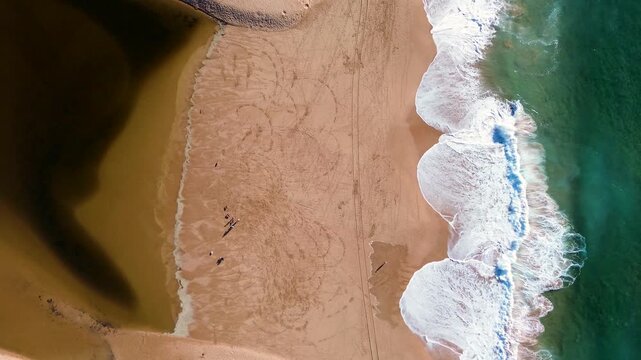 Drone aerial landscape of group of people standing at Avoca Beach with ocean waves breaking on the shoreline sandbar and lagoon dunes on the Central Coast Australia nature tourism and travel scenery
