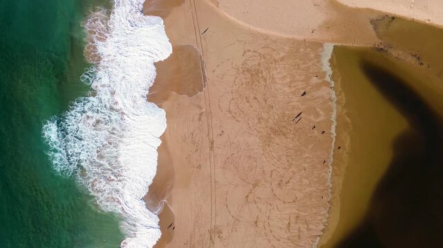 Drone aerial landscape of people standing with dogs on sandy Avoca Beach with ocean waves crashing on the shoreline and river lagoon ecosystem Central Coast Australia travel tourism nature scenery