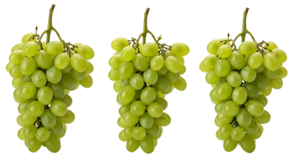 Three bunches of pale green grapes, close-up, isolated against black