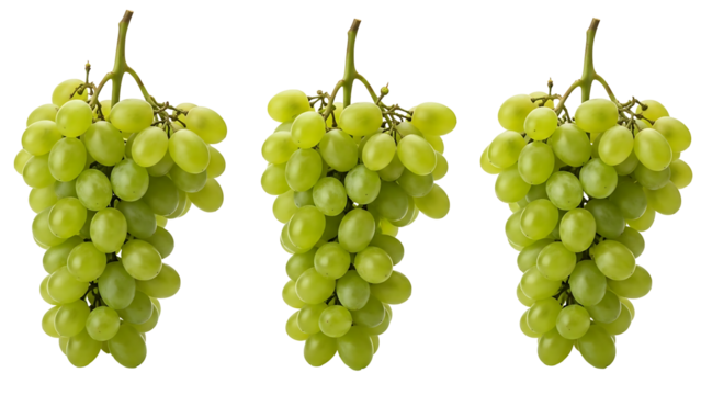 Three bunches of pale green grapes, close-up, isolated against black