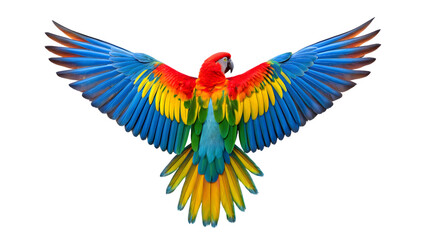 Obraz premium A colorful macaw parrot with its wings spread wide isolated on transparent background