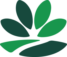 A minimalist logo design for a Evergreen