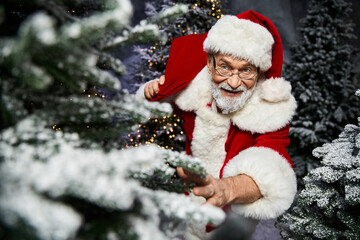 Festive Santa enjoying the winter wonderland near snow-covered fir trees