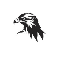 eagle head vector illustration