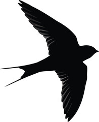 Graceful swift silhouette flying isolated on white minimalist vector