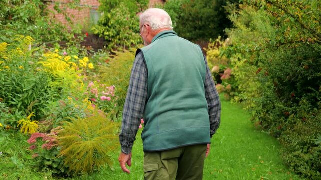 Elderly man in glasses slowly walking grouch a park enjoying retirement