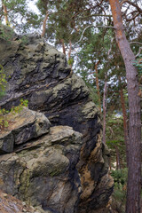 Tall Craggy Rock Outcrop With Striking Black And Green Textures Stands Amidst A Dense Pine Forest