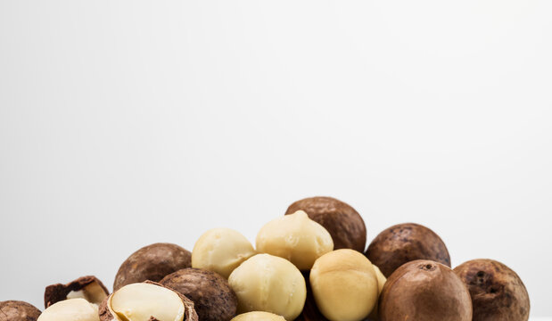 Still life of shelled and unshelled healthy macadamia nuts.