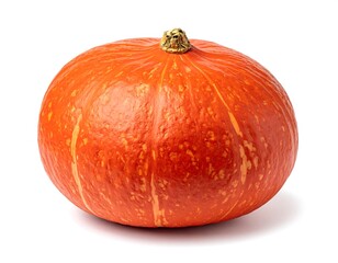 Single orange pumpkin on white background (1)