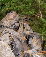 Rugged Natural Path Weaves Through A Jumble Of Large Gray Boulders And Rocks Shadowed By A Pine Tree