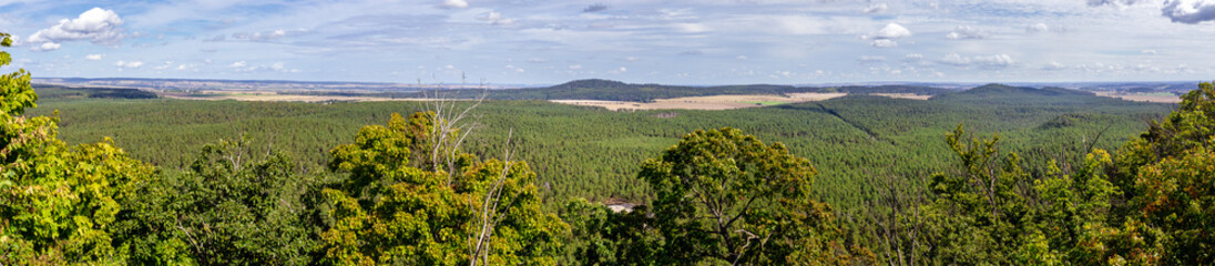Vast Panoramic View From A Hilltop Overlooks A Sprawling Forest Distant Fields, And Rolling Hills...