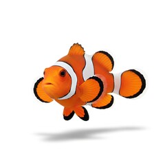 vector illustration of a fish