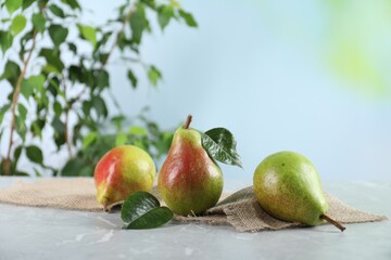 Fresh ripe pears on light grey marble table and green leaves outdoors