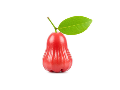 Fresh rose apple with green leaf isolated on white background.