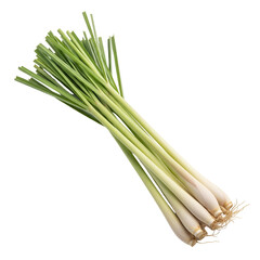 Fototapeta premium Bunch of Fresh Lemongrass Stalks with Roots on Black