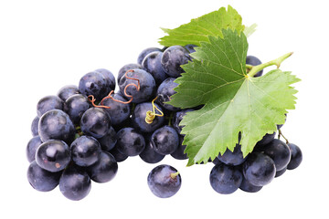 Black grapes isolated on white background