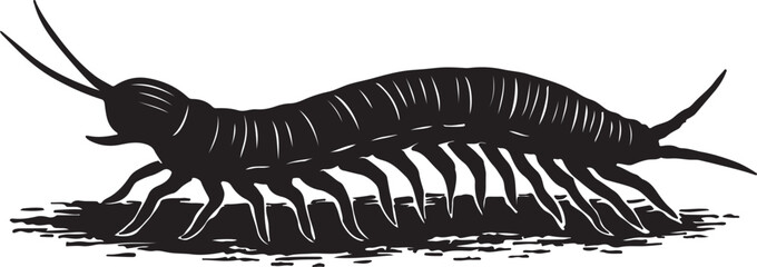 Detailed black and white illustration of a millipede with many legs crawling on a textured surface