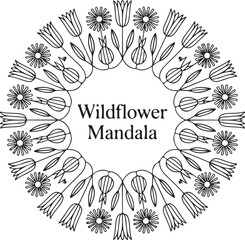 Floral Mandala Line Art – Blooming Flower Symmetry Design
