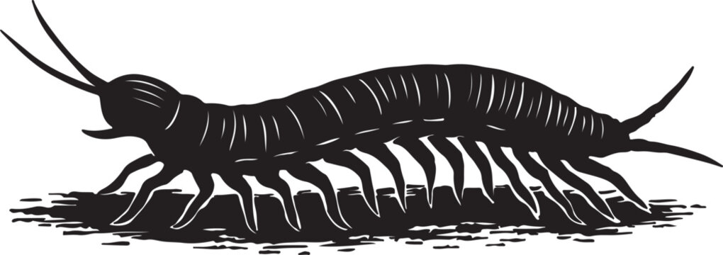 black centipede silhouette crawling on ground clip art preview