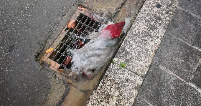 Leaves and other debris are swept by a powerful stormwater current rushing down a street gutter and into a metal storm drain. ( in slow motion ) 