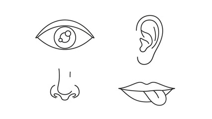 Discover the senses with elegant line art of eye, ear, nose, and tongue, perfect for modern health and wellness concepts.