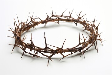 Fototapeta premium Crown of Thorns wire white background accessories.