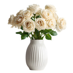 Cream roses in a white ceramic vase isolated on transparent background