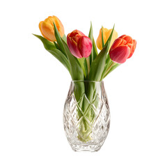 Crystal clear glass flower vase with fresh tulips, png 