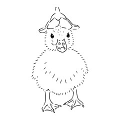 kawaii animal drawing: wobbly duck with headwear
