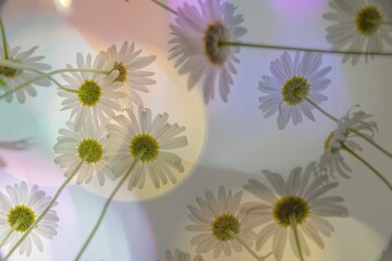 The scent of flowers lingers on my eyelids
瞼に残る花の薫り