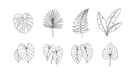 Collection of tropical leaf silhouettes in a hand drawn sketch style