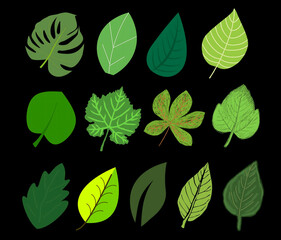 Sticker design themed green leaf design