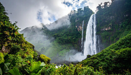 Fototapeta premium Dramatic Waterfall in Lush Tropical Rainforest