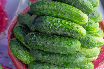 Fresh cucumbers stacked in a market display. Farm fresh cucumbers in a vibrant pile representing natural produce clean eating and seasonal vegetables.