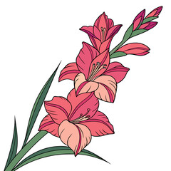 glamorous gladiolus vector