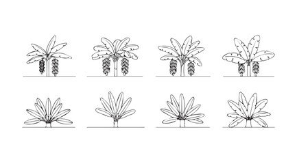 Collection of stylized banana tree silhouettes in a simple line art style