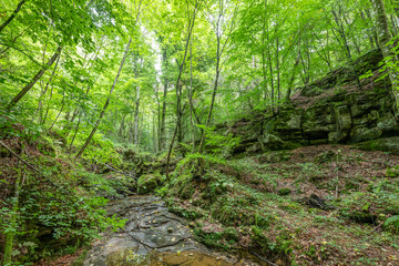 Beautiful green forest Hiking path with Sandstone chalk rock formations in Berdorf Mullerthal Luxembourg