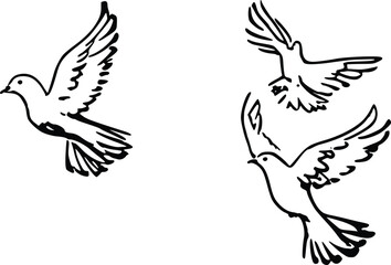 Fototapeta premium Minimalist Bird Outline Drawing 