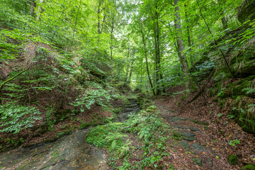 Beautiful green forest Hiking path with Sandstone chalk rock formations in Berdorf Mullerthal Luxembourg